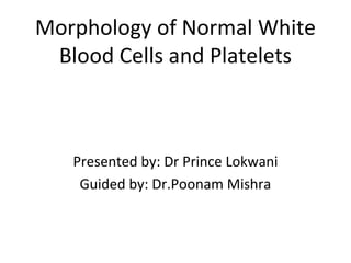 Morphology of Normal White
Blood Cells and Platelets
Presented by: Dr Prince Lokwani
Guided by: Dr.Poonam Mishra
 