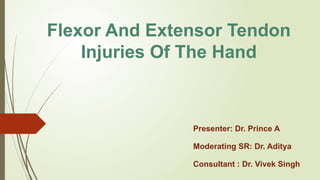 Comprehensive Overview of Flexor and Extensor Tendon Injuries of the ...