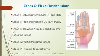 Comprehensive Overview of Flexor and Extensor Tendon Injuries of the ...
