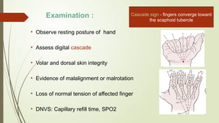 Comprehensive Overview of Flexor and Extensor Tendon Injuries of the ...