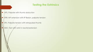 Testing Epl Tendon Comprehensive Overview of Flexor and Extensor Tendon Injuries of the ...