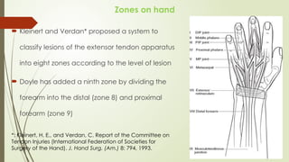 Comprehensive Overview of Flexor and Extensor Tendon Injuries of the ...