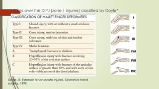 Comprehensive Overview of Flexor and Extensor Tendon Injuries of the ...