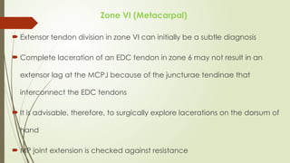 Comprehensive Overview of Flexor and Extensor Tendon Injuries of the ...