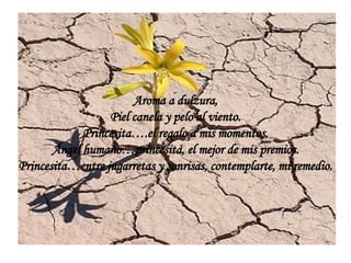 Aroma a dulzura, Piel canela y pelo al viento. Princesita….el regalo a mis momentos. Ángel humano…princesita, el mejor de mis premios. Princesita…entre jugarretas y sonrisas, contemplarte, mi remedio.