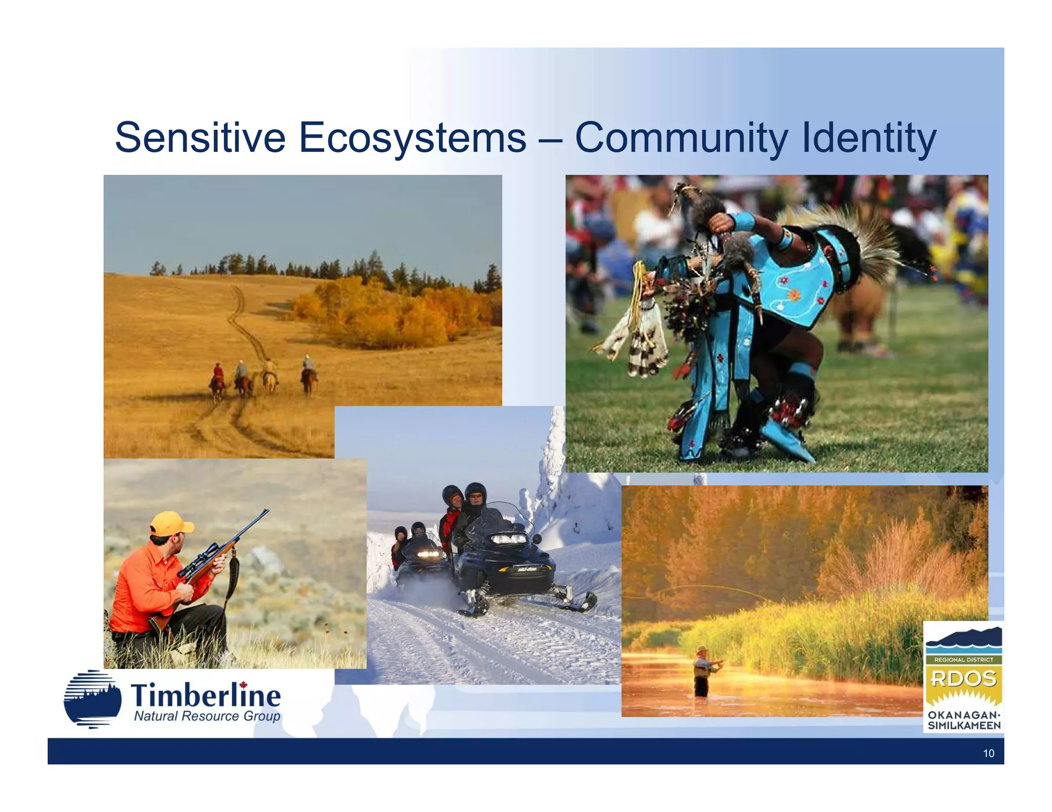 Sensitive Ecosystems – Community Identity




                                            10
 