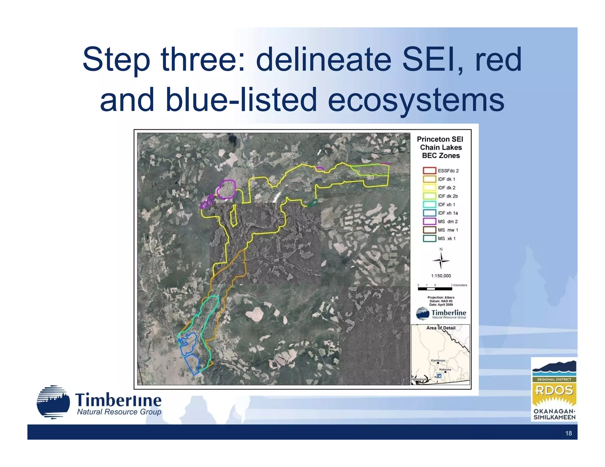 Step three: delineate SEI, red
 and blue-listed ecosystems




                                 18
 