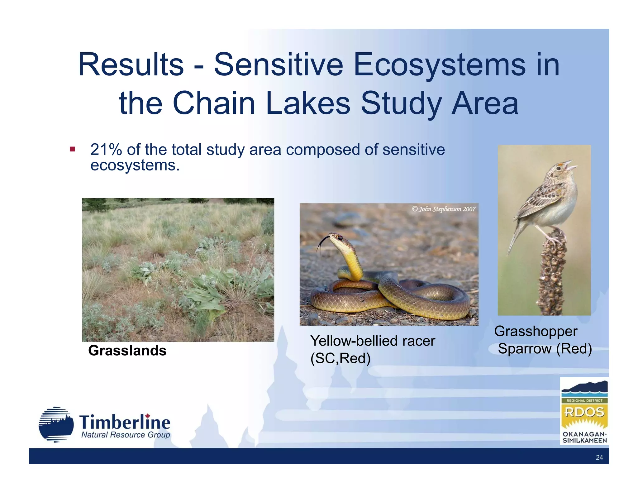 Results - Sensitive Ecosystems in
  the Chain Lakes Study Area
21% of the total study area composed of sensitive
ecosystems.




                                                     Grasshopper
                              Yellow-bellied racer
Grasslands                                           Sparrow (Red)
                              (SC,Red)




                                                                     24
 