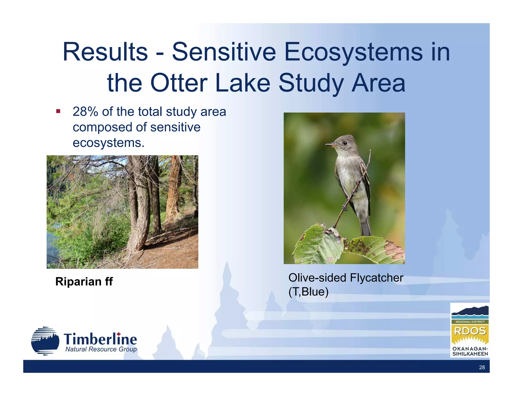 Results - Sensitive Ecosystems in
    the Otter Lake Study Area
   28% of the total study area
   composed of sensitive
   ecosystems.




Riparian ff                      Olive-sided Flycatcher
                                 (T,Blue)




                                                          28
 