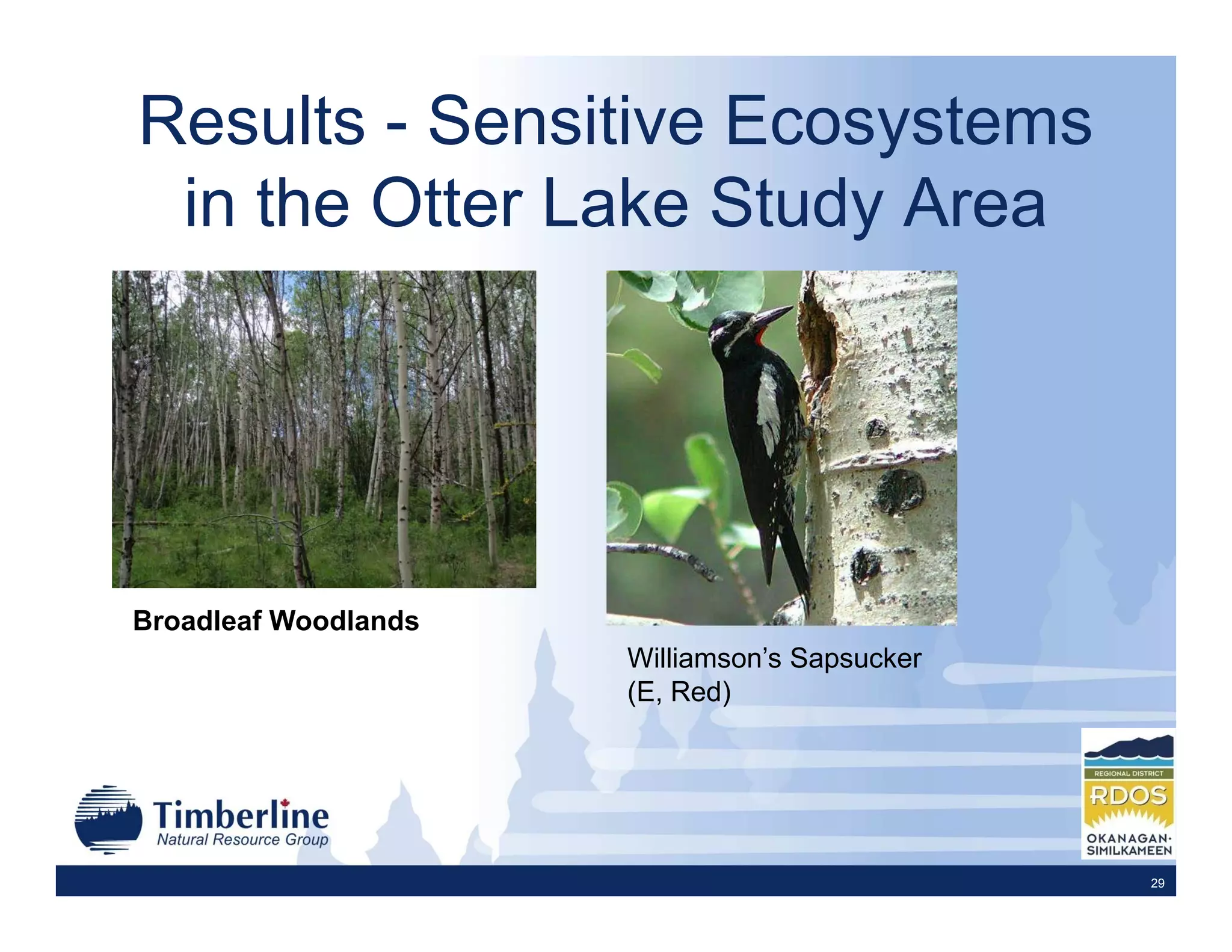 Results - Sensitive Ecosystems
 in the Otter Lake Study Area




Broadleaf Woodlands
                      Williamson’s Sapsucker
                      (E, Red)




                                               29
 