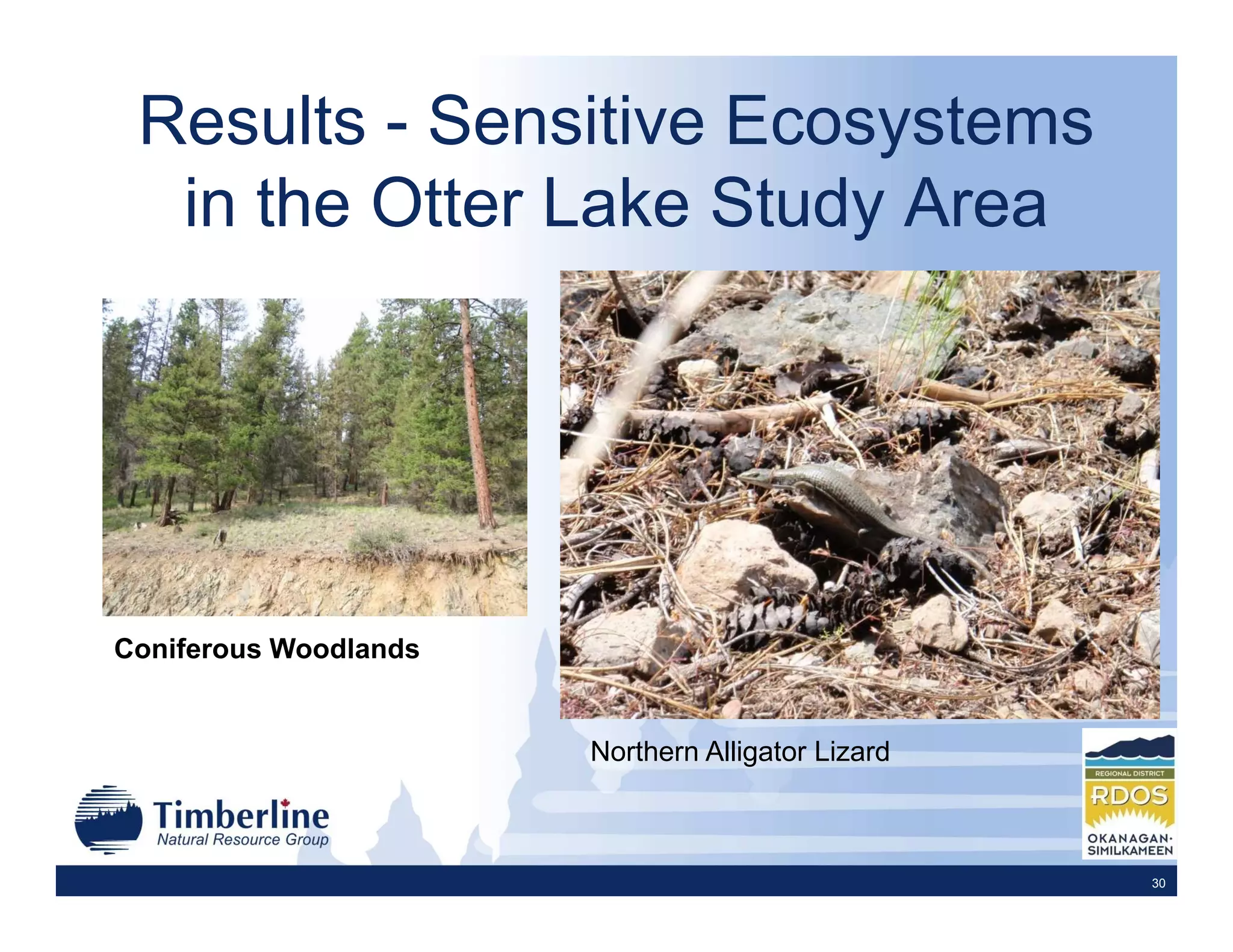 Results - Sensitive Ecosystems
  in the Otter Lake Study Area




Coniferous Woodlands


                       Northern Alligator Lizard



                                                   30
 