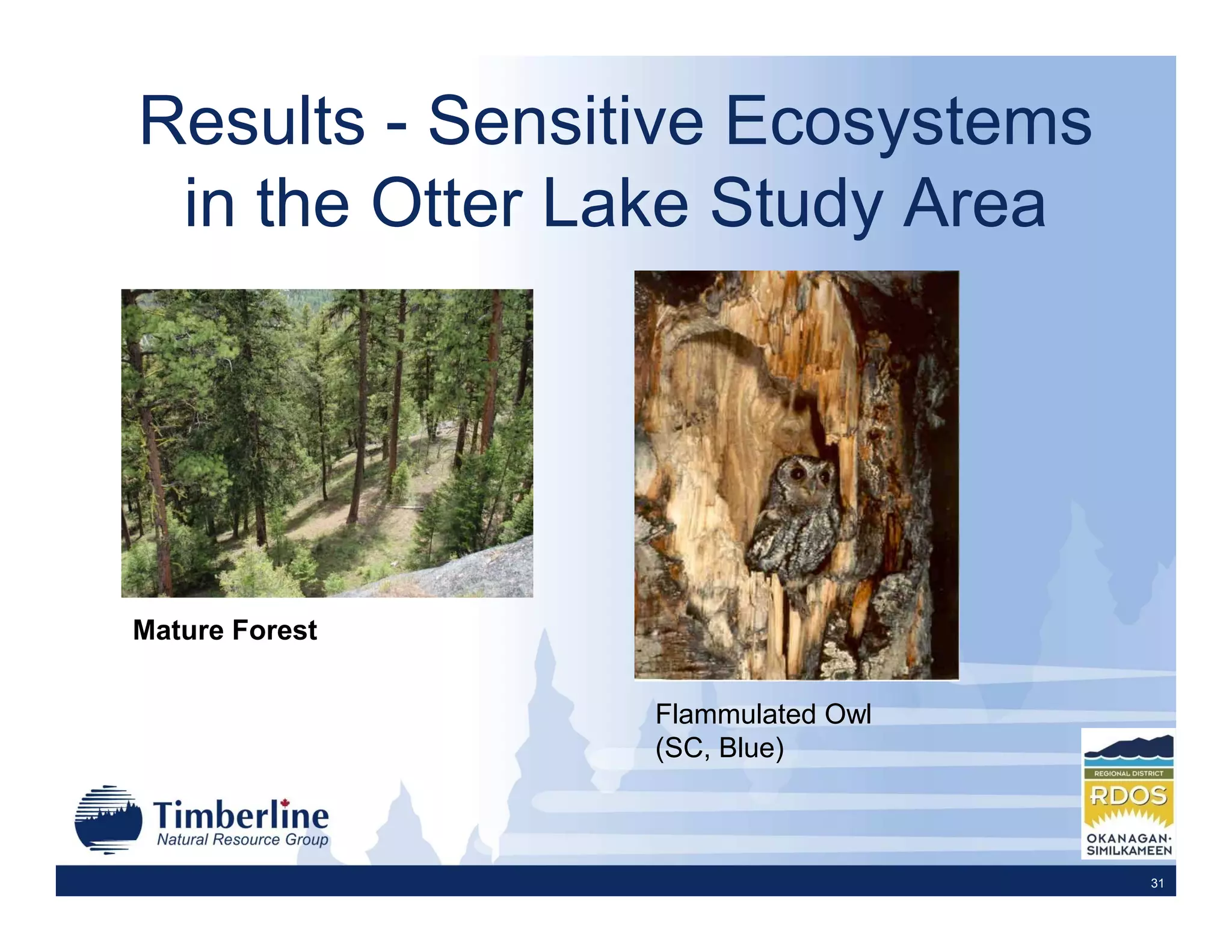 Results - Sensitive Ecosystems
 in the Otter Lake Study Area




Mature Forest


                Flammulated Owl
                (SC, Blue)



                                  31
 