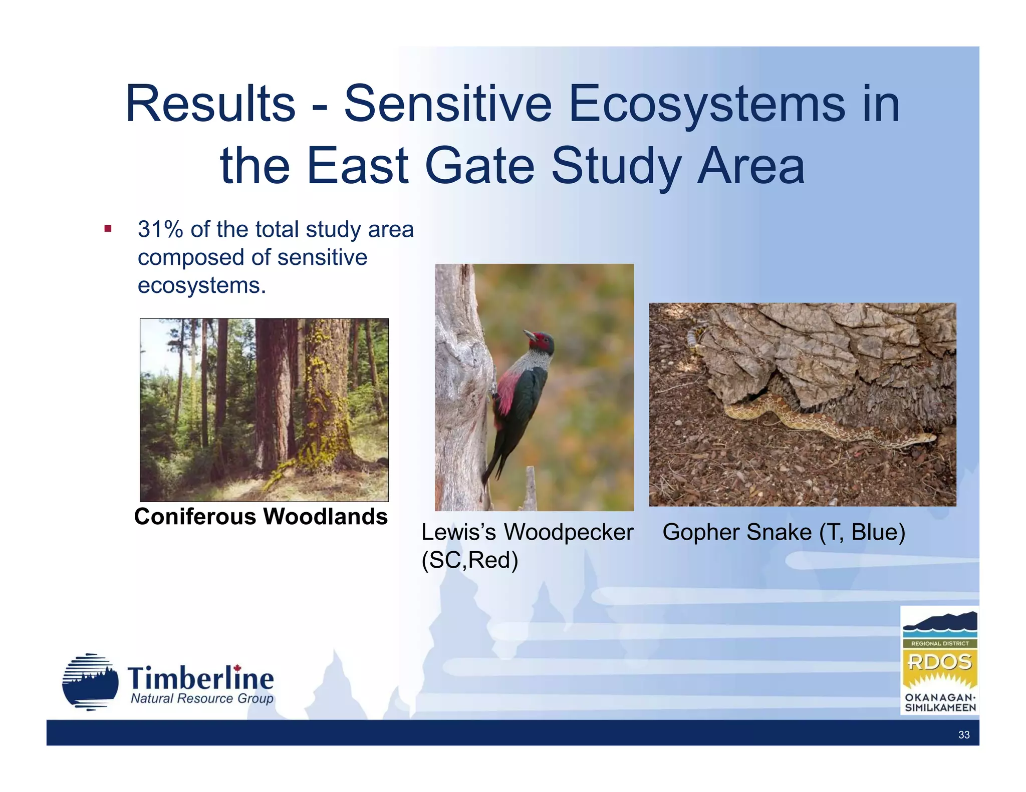 Results - Sensitive Ecosystems in
   the East Gate Study Area
31% of the total study area
composed of sensitive
ecosystems.




Coniferous Woodlands
                              Lewis’s Woodpecker   Gopher Snake (T, Blue)
                              (SC,Red)




                                                                            33
 