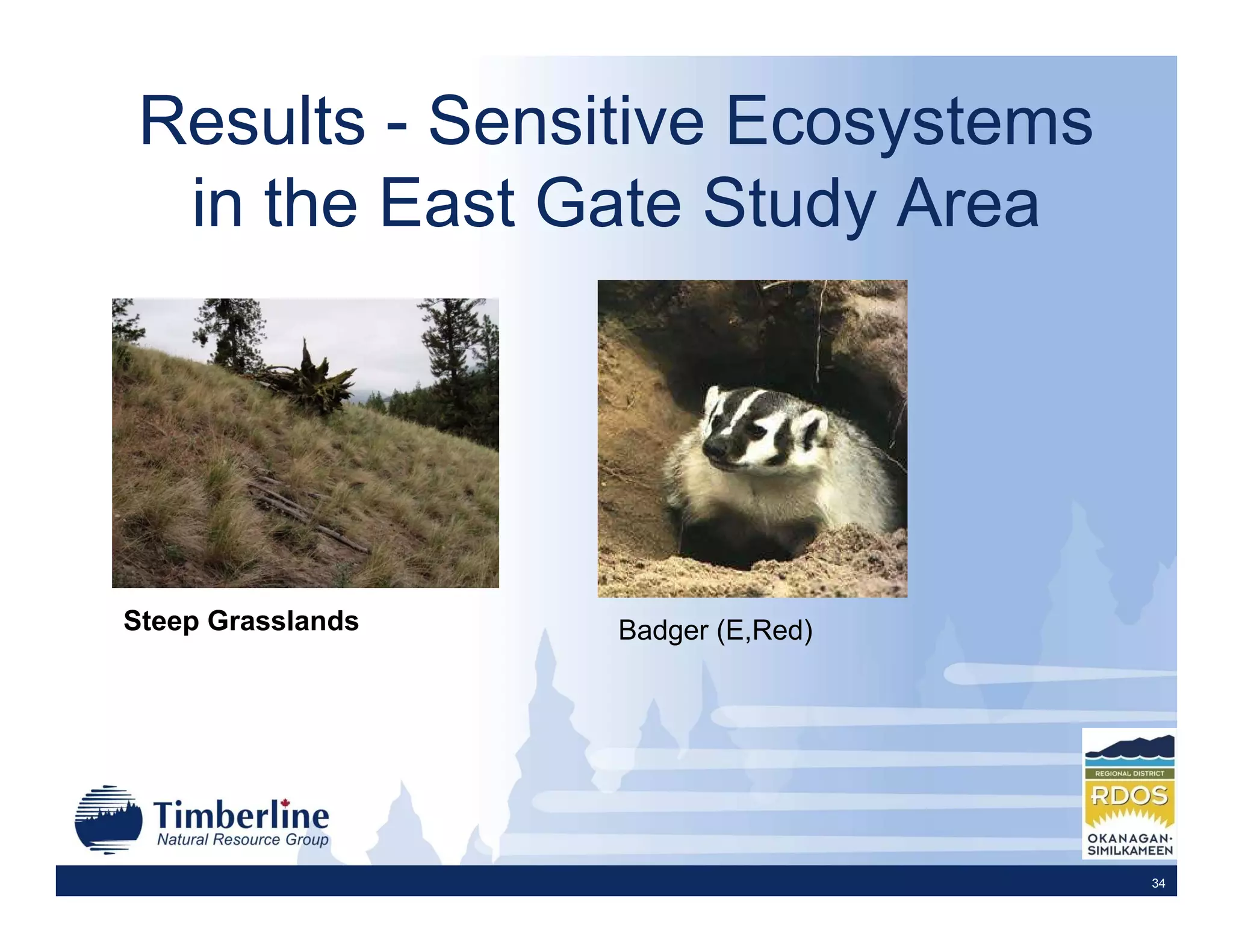 Results - Sensitive Ecosystems
 in the East Gate Study Area




Steep Grasslands   Badger (E,Red)




                                    34
 
