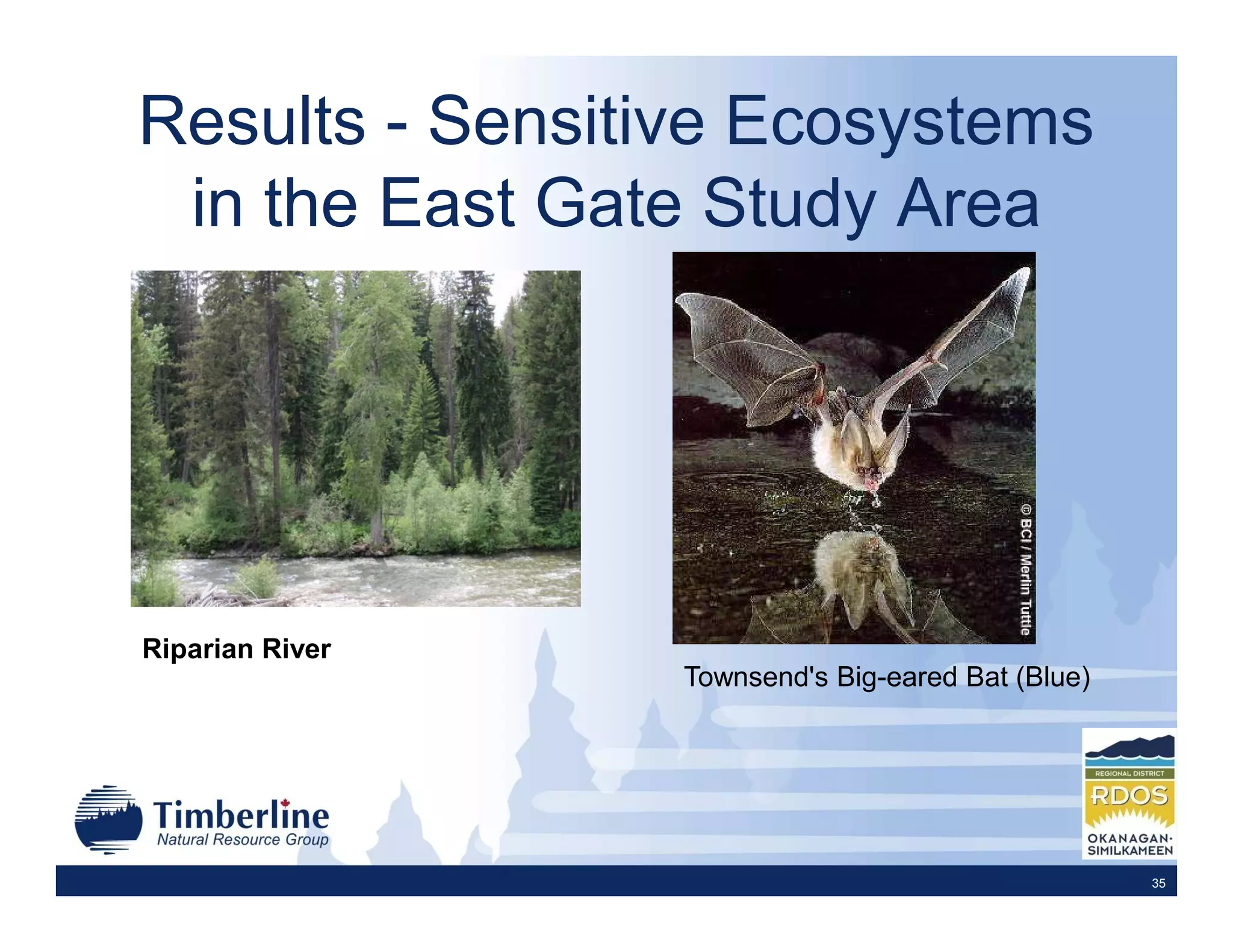 Results - Sensitive Ecosystems
 in the East Gate Study Area




Riparian River
                 Townsend's Big-eared Bat (Blue)




                                                   35
 
