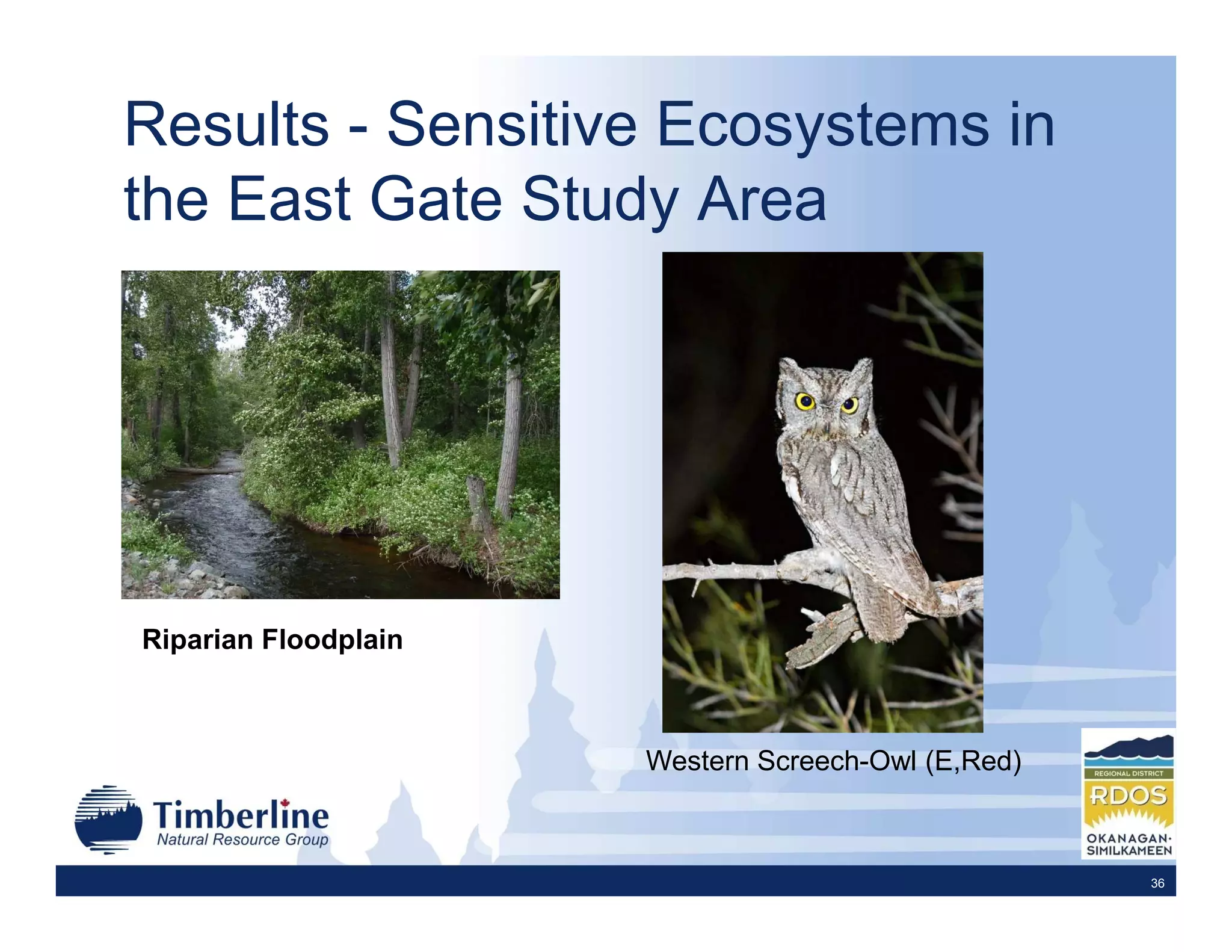 Results - Sensitive Ecosystems in
the East Gate Study Area




Riparian Floodplain



                      Western Screech-Owl (E,Red)



                                                    36
 