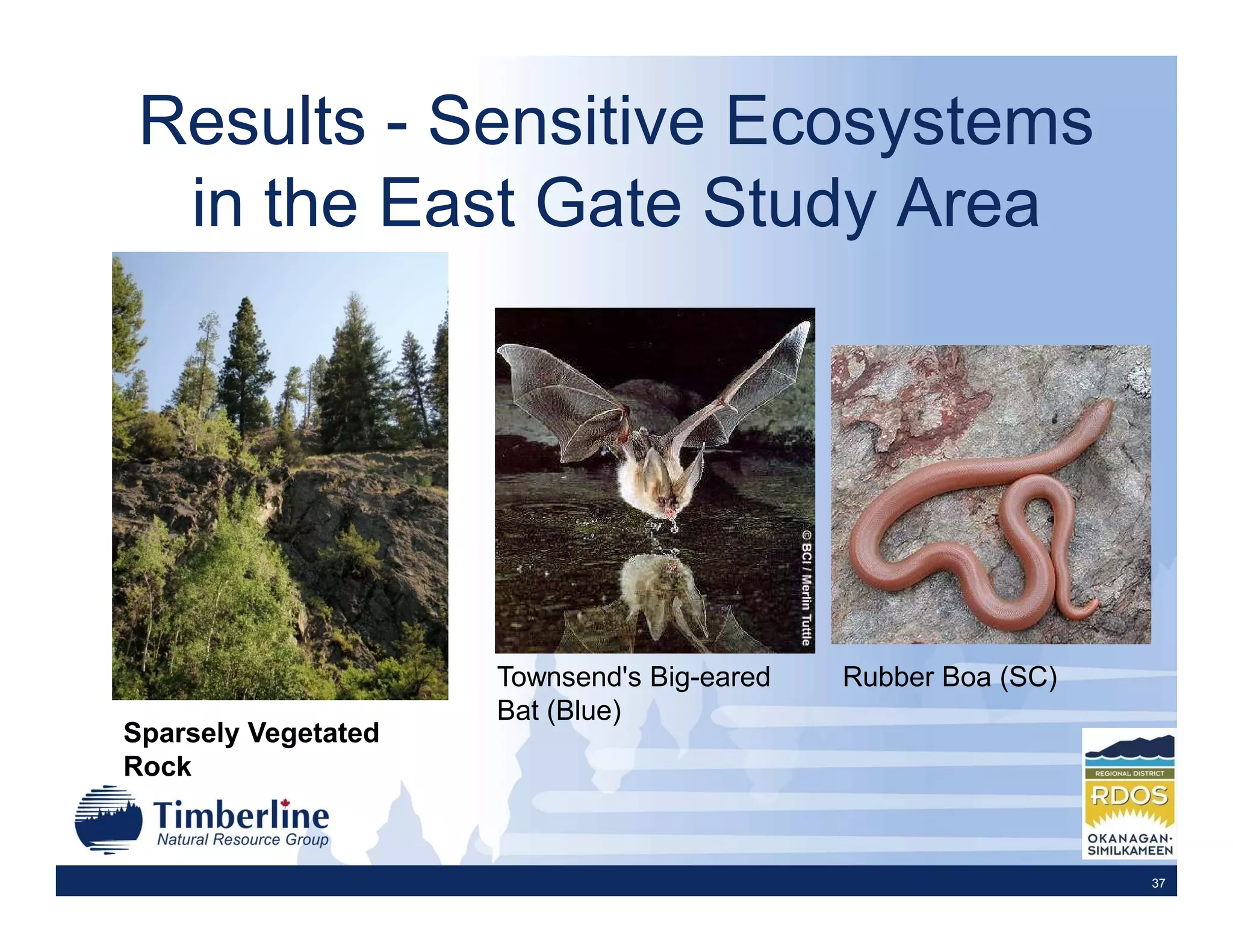 Results - Sensitive Ecosystems
  in the East Gate Study Area




                     Townsend's Big-eared   Rubber Boa (SC)
                     Bat (Blue)
Sparsely Vegetated
Rock


                                                              37
 