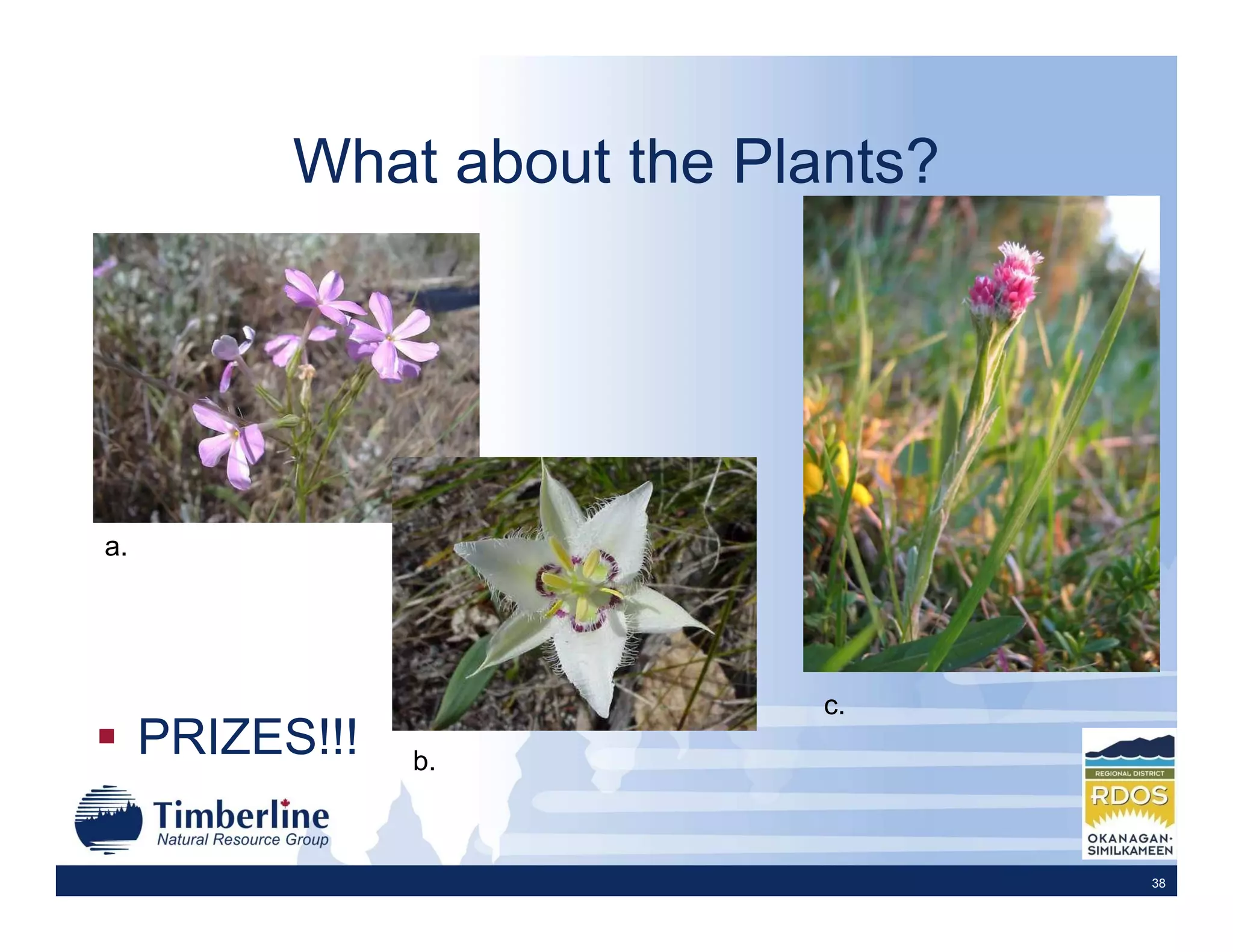 What about the Plants?




a.




                             c.
     PRIZES!!!   b.



                                    38
 