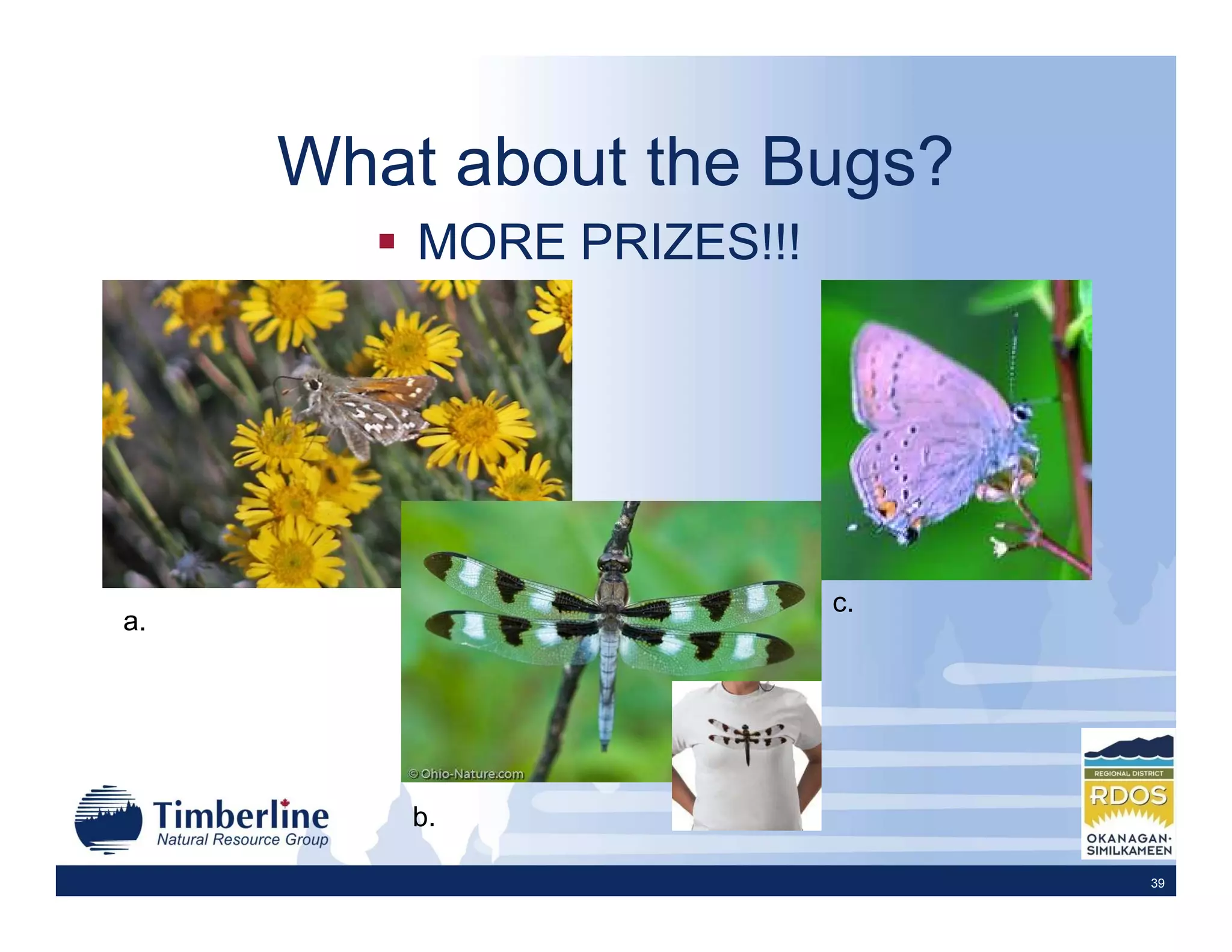 What about the Bugs?
         MORE PRIZES!!!




                          c.
a.




         b.

                               39
 