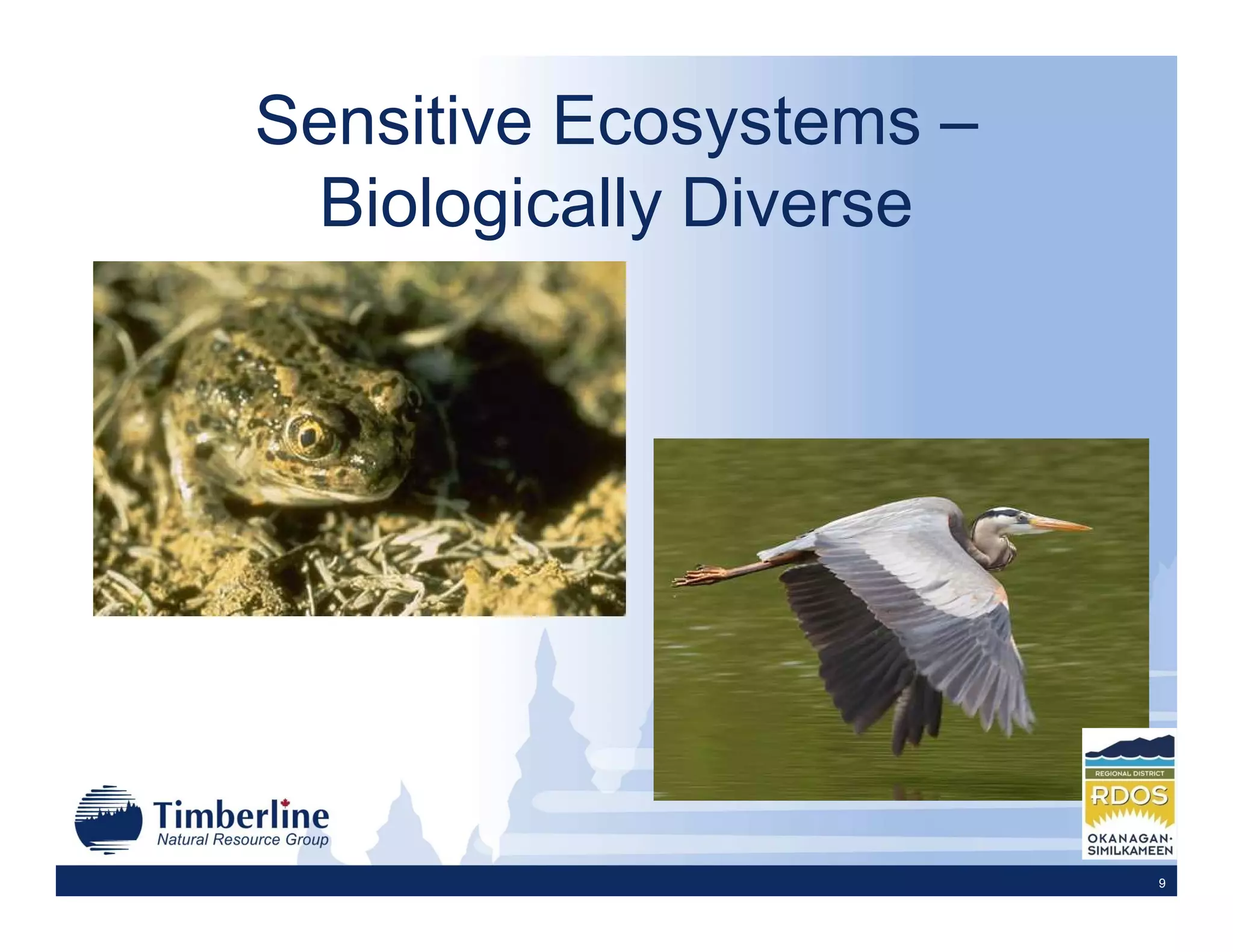 Sensitive Ecosystems –
 Biologically Diverse




                         9
 