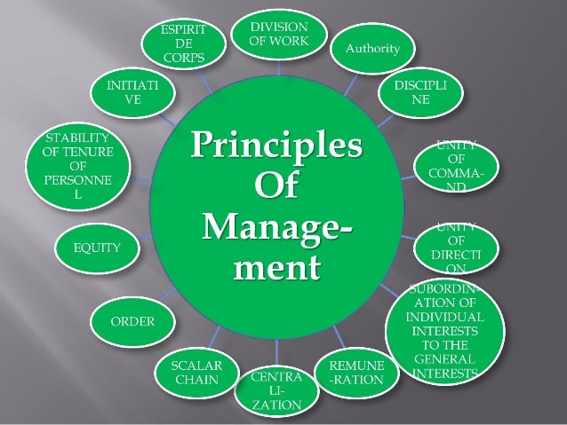 Image result for Principle Of Management