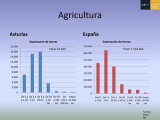Principado De Asturias