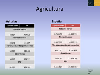 Principado De Asturias