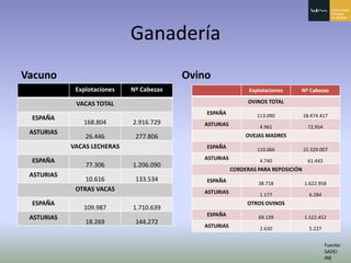 Principado De Asturias