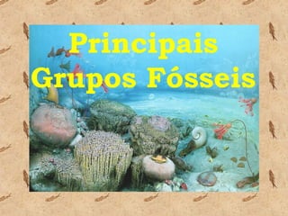 Principais Grupos Fósseis 