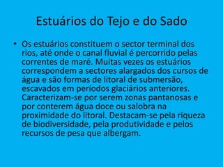 Estuários do Tejo e do SadoOs estuários constituem o sector terminal dos rios, até onde o canal fluvial é percorrido pelas correntes de maré. Muitas vezes os estuários correspondem a sectores alargados dos cursos de água e são formas de litoral de submersão, escavados em períodos glaciários anteriores. Caracterizam-se por serem zonas pantanosas e por conterem água doce ou salobra na proximidade do litoral. Destacam-se pela riqueza de biodiversidade, pela produtividade e pelos recursos de pesa que albergam.