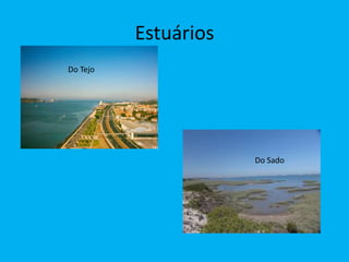 EstuáriosDo TejoDo Sado