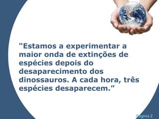 "Estamos a experimentar a maior onda de extinções de espécies depois do desaparecimento dos dinossauros. A cada hora, três espécies desaparecem.” 