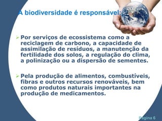 A biodiversidade é responsável:


 Por serviços de ecossistema como a
  reciclagem de carbono, a capacidade de
  assimilação de resíduos, a manutenção da
  fertilidade dos solos, a regulação do clima,
  a polinização ou a dispersão de sementes.

 Pela produção de alimentos, combustíveis,
  fibras e outros recursos renováveis, bem
  como produtos naturais importantes na
  produção de medicamentos.


               Powerpoint Templates
                                          Página 6
 