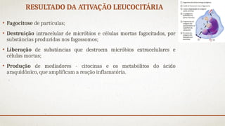 RESULTADO DA ATIVAÇÃO LEUCOCITÁRIA
• Fagocitose de partículas;
• Destruição intracelular de micróbios e células mortas fagocitados, por
substâncias produzidas nos fagossomos;
• Liberação de substâncias que destroem micróbios extracelulares e
células mortas;
• Produção de mediadores - citocinas e os metabólitos do ácido
araquidônico, que amplificam a reação inflamatória.
 