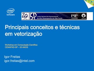Principais conceitos e técnicas
em vetorização
Workshop em Computação Científica
CENAPAD-SP – 20 ANOS
Igor Freitas
igor.freitas@intel.com
 