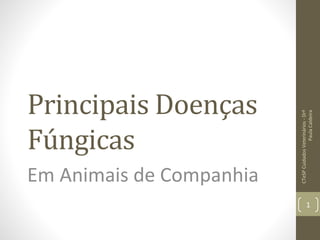 Principais Doenças
Fúngicas
Em Animais de Companhia
CTeSP
Cuidados
Veterinários
-
Drª
Paula
Caldeira
1
 