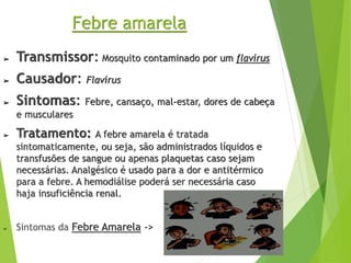 Febre amarela
➢ Transmissor: Mosquito contaminado por um flavírus
➢ Causador: Flavírus
➢ Sintomas: Febre, cansaço, mal-estar, dores de cabeça
e musculares
➢ Tratamento: A febre amarela é tratada
sintomaticamente, ou seja, são administrados líquidos e
transfusões de sangue ou apenas plaquetas caso sejam
necessárias. Analgésico é usado para a dor e antitérmico
para a febre. A hemodiálise poderá ser necessária caso
haja insuficiência renal.
➢ Sintomas da Febre Amarela ->
 