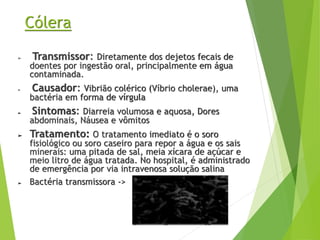 Cólera
➢ Transmissor: Diretamente dos dejetos fecais de
doentes por ingestão oral, principalmente em água
contaminada.
➢ Causador: Vibrião colérico (Víbrio cholerae), uma
bactéria em forma de vírgula
➢ Sintomas: Diarreia volumosa e aquosa, Dores
abdominais, Náusea e vômitos
➢ Tratamento: O tratamento imediato é o soro
fisiológico ou soro caseiro para repor a água e os sais
minerais: uma pitada de sal, meia xícara de açúcar e
meio litro de água tratada. No hospital, é administrado
de emergência por via intravenosa solução salina
➢ Bactéria transmissora ->
 
