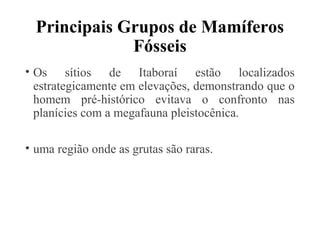 Principais Grupos de Mamíferos 
Fósseis 
• Os sítios de Itaboraí estão localizados 
estrategicamente em elevações, demonstrando que o 
homem pré-histórico evitava o confronto nas 
planícies com a megafauna pleistocênica. 
• uma região onde as grutas são raras. 
 