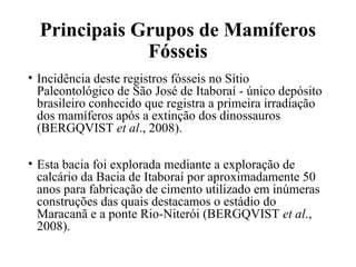 Principais Grupos de Mamíferos 
Fósseis 
• Incidência deste registros fósseis no Sítio 
Paleontológico de São José de Itaboraí - único depósito 
brasileiro conhecido que registra a primeira irradiação 
dos mamíferos após a extinção dos dinossauros 
(BERGQVIST et al., 2008). 
• Esta bacia foi explorada mediante a exploração de 
calcário da Bacia de Itaboraí por aproximadamente 50 
anos para fabricação de cimento utilizado em inúmeras 
construções das quais destacamos o estádio do 
Maracanã e a ponte Rio-Niterói (BERGQVIST et al., 
2008). 
 