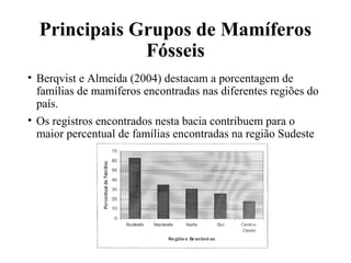 Principais Grupos de Mamíferos 
Fósseis 
• Berqvist e Almeida (2004) destacam a porcentagem de 
famílias de mamíferos encontradas nas diferentes regiões do 
país. 
• Os registros encontrados nesta bacia contribuem para o 
maior percentual de famílias encontradas na região Sudeste 
 