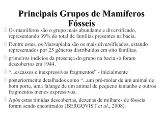 Principais Grupos de Mamíferos 
Fósseis 
 Os mamíferos são o grupo mais abundante e diversificado, 
representando 39% do total de famílias presentes na bacia. 
 Dentre estes, os Marsupialia são os mais diversificados, estando 
representados por 25 gêneros distribuídos em oito famílias. 
 primeiros indícios da presença do grupo na bacia só foram 
descobertos em 1944. 
 “...escassos e inexpressivos fragmentos” - inicialmente 
 posteriormente detalhados como “...um pré-molar de um animal de 
bom porte, uma falange de um animal de pequeno tamanho e outros 
fragmentos menos expressivos. 
 Após estas tímidas descobertas, dezenas de milhares de fósseis 
foram sendo encontrados (BERGQVIST et al., 2008). 
 