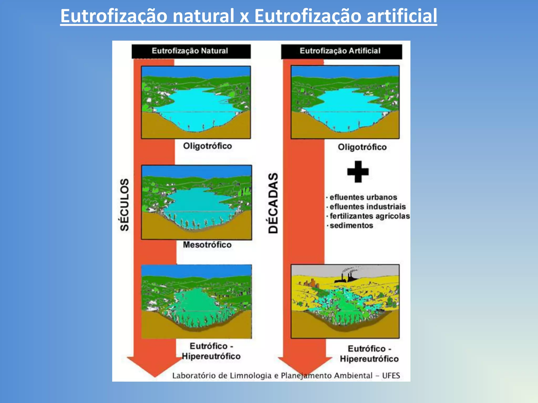 Eutrofização natural x Eutrofização artificial

 