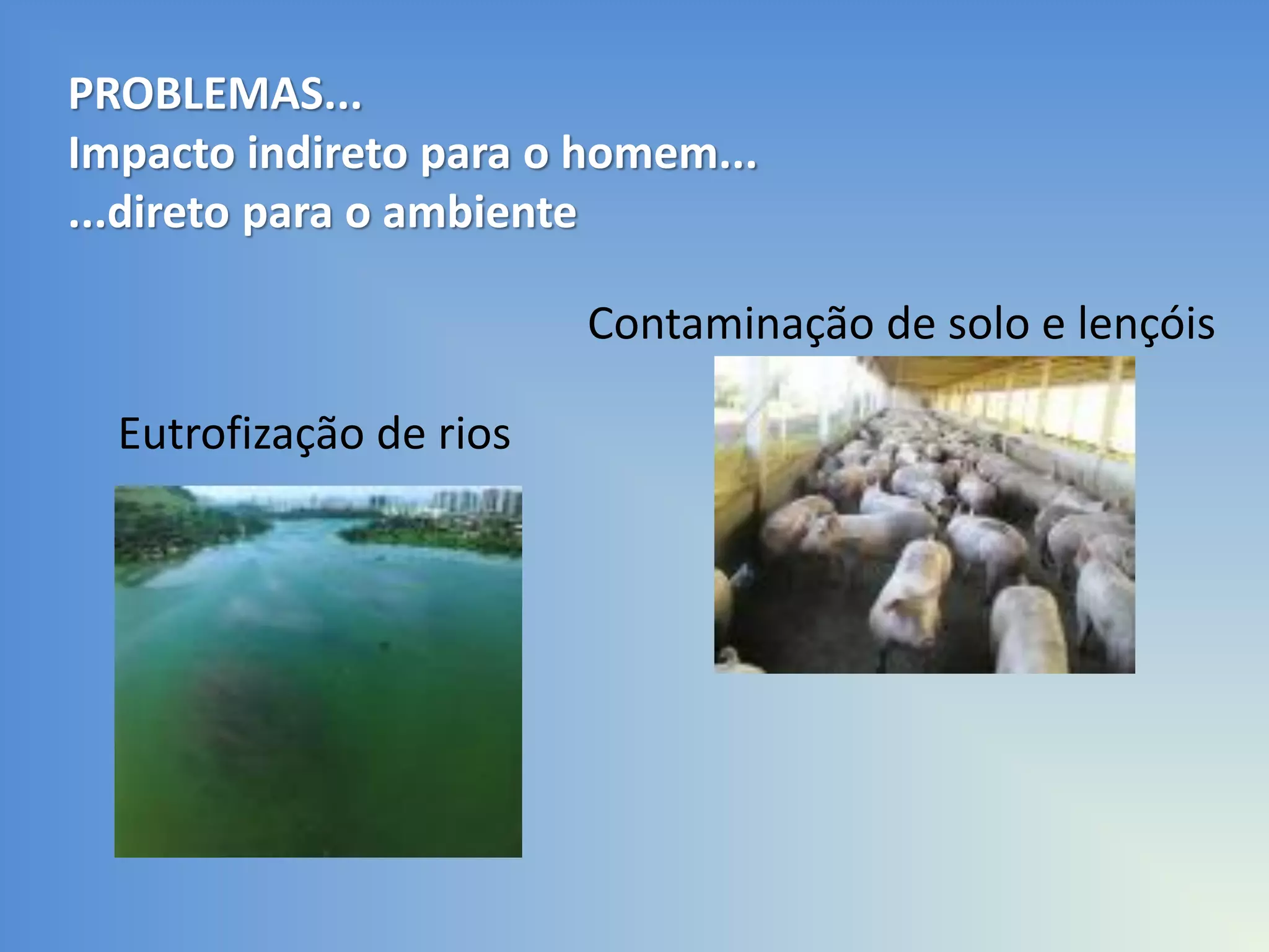 PROBLEMAS...
Impacto indireto para o homem...
...direto para o ambiente
Contaminação de solo e lençóis
Eutrofização de rios

 