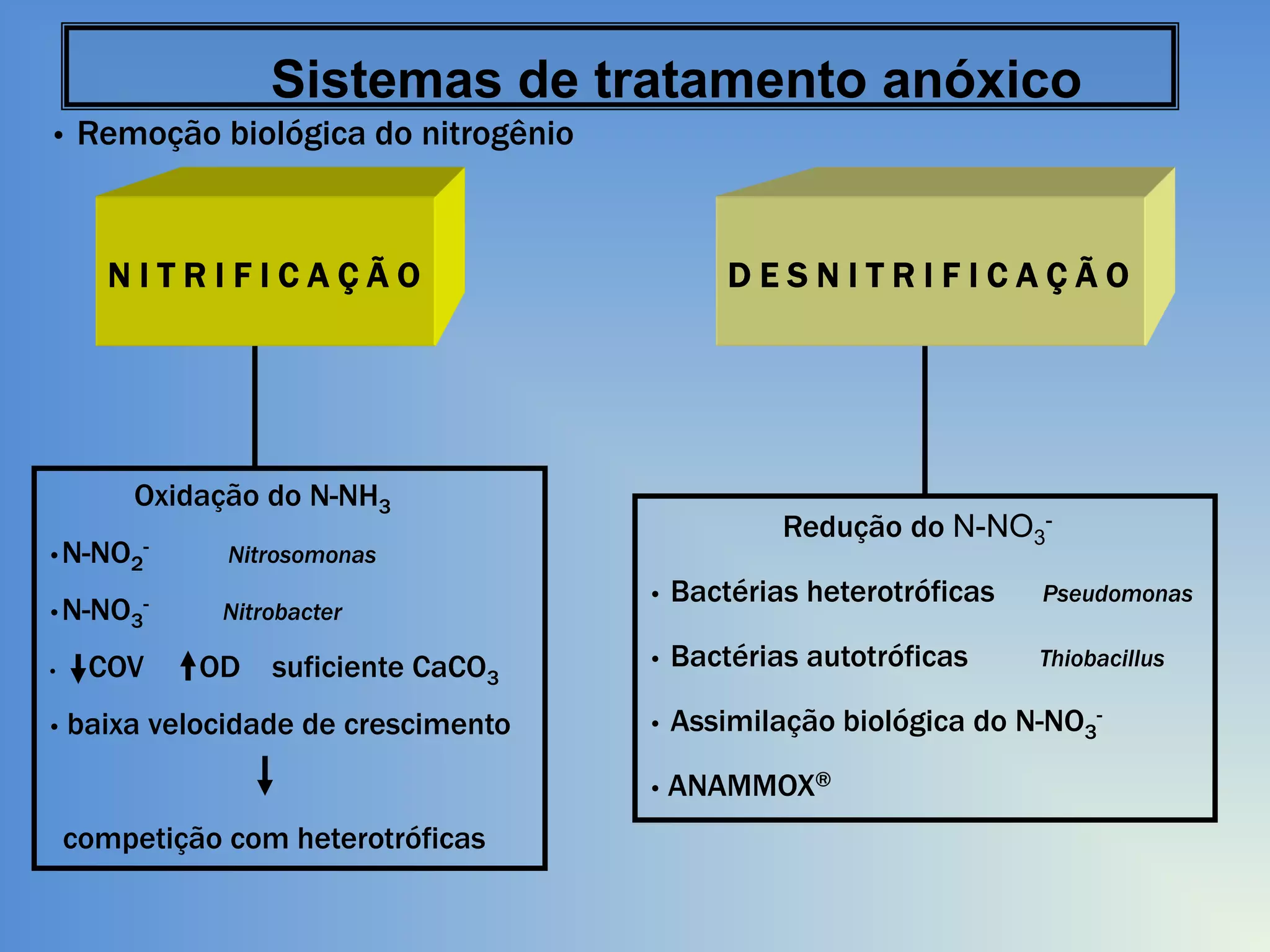 Sistemas de tratamento anóxico
•

Remoção biológica do nitrogênio

NITRIFICAÇÃO

DESNITRIFICAÇÃO

Oxidação do N-NH3
•N-NO2-

Nitrosomonas

•N-NO3-

Nitrobacter

Redução do N-NO3-

•

COV

• baixa

OD

suficiente CaCO3

velocidade de crescimento

•

Bactérias heterotróficas

Pseudomonas

•

Bactérias autotróficas

Thiobacillus

•

Assimilação biológica do N-NO3-

• ANAMMOX®

competição com heterotróficas

 