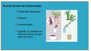 Outras formas de transmissão
Placenta
Ingestão do parasita em
alimentos (suco de açaí,
caldo-de-cana)
Amamentação
Transfusão sanguínea
 