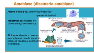 Agente etiológico: Entamoeba histolytica
(parasita intestinal)
Transmissão: ingestão de
cistos em água e alimentos.
Sintomas: disenteria, anemia,
ulcerações na parede intestinal,
necroses hepáticas, pulmonares
e cerebrais.
 