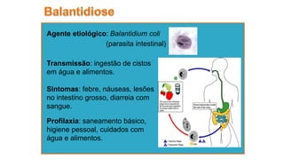 Agente etiológico: Balantidium coli
(parasita intestinal)
Sintomas: febre, náuseas, lesões
no intestino grosso, diarreia com
sangue.
Profilaxia: saneamento básico,
higiene pessoal, cuidados com
água e alimentos.
Transmissão: ingestão de cistos
em água e alimentos.
 