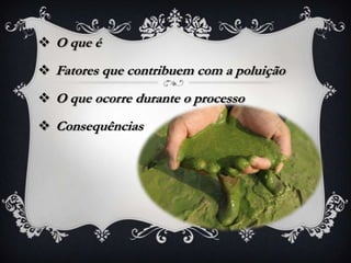  O que é
 Fatores que contribuem com a poluição
 O que ocorre durante o processo
 Consequências
 
