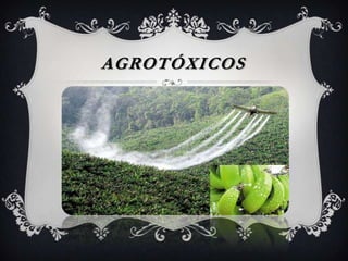 AGROTÓXICOS
 